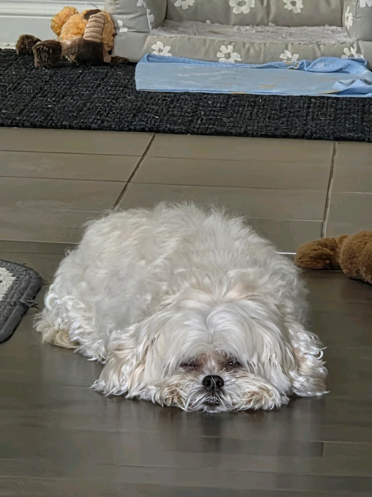 GIF uploaded by Ariane