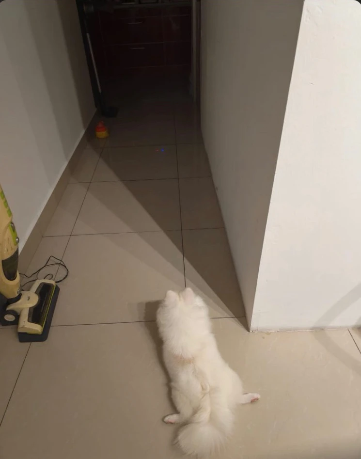GIF uploaded by Beckham