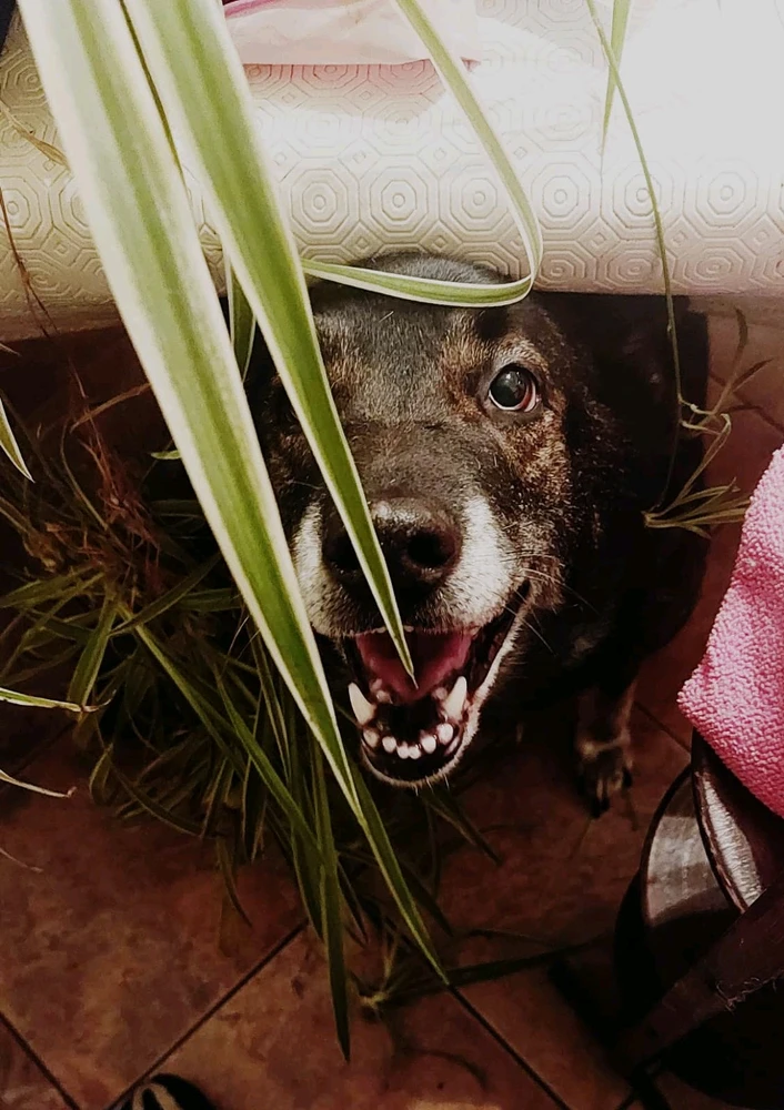 GIF uploaded by Chloe