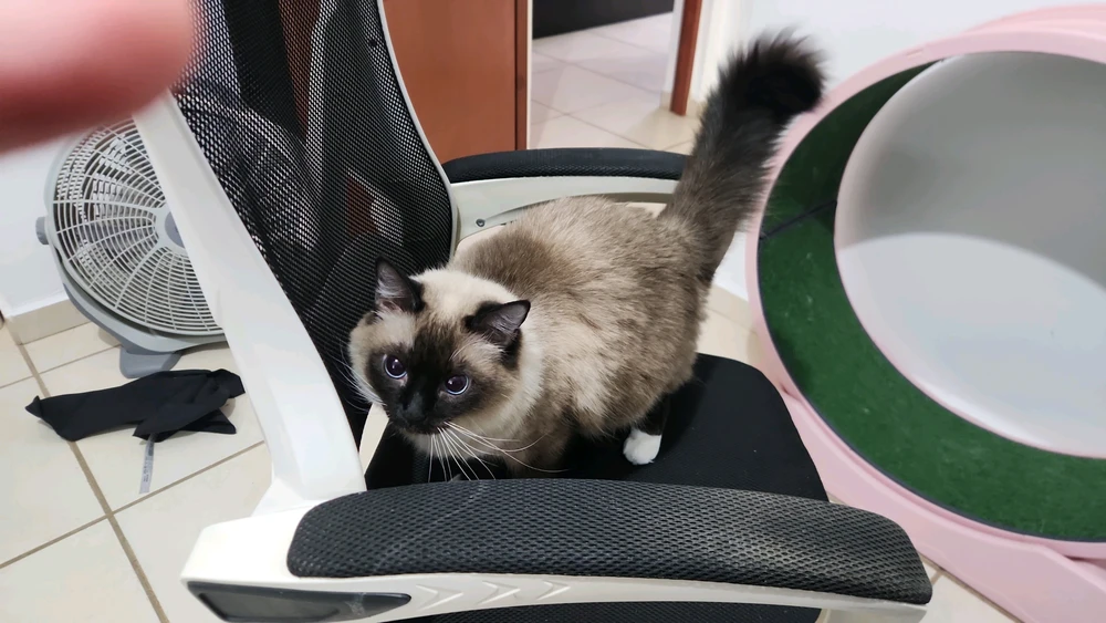 GIF subido por kert