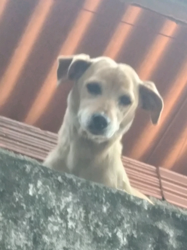 Imagem enviada por Nicoly