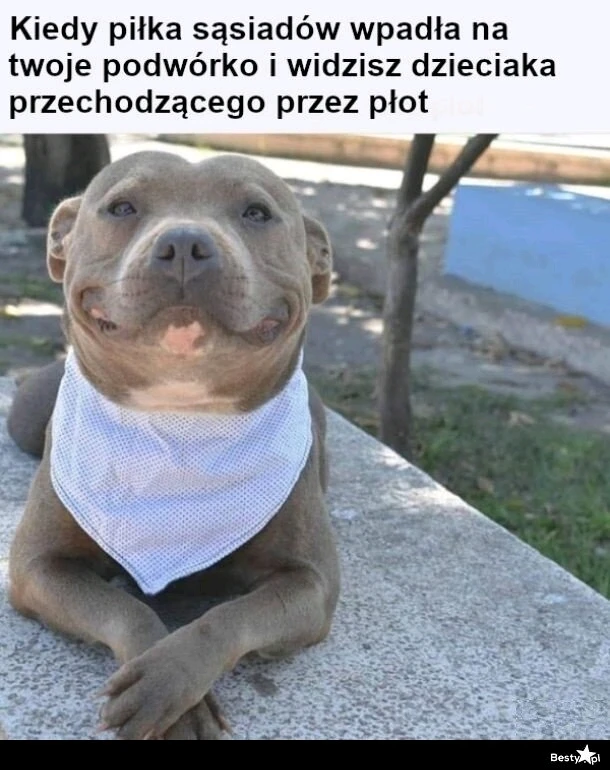 GIF dodany przez Paweł