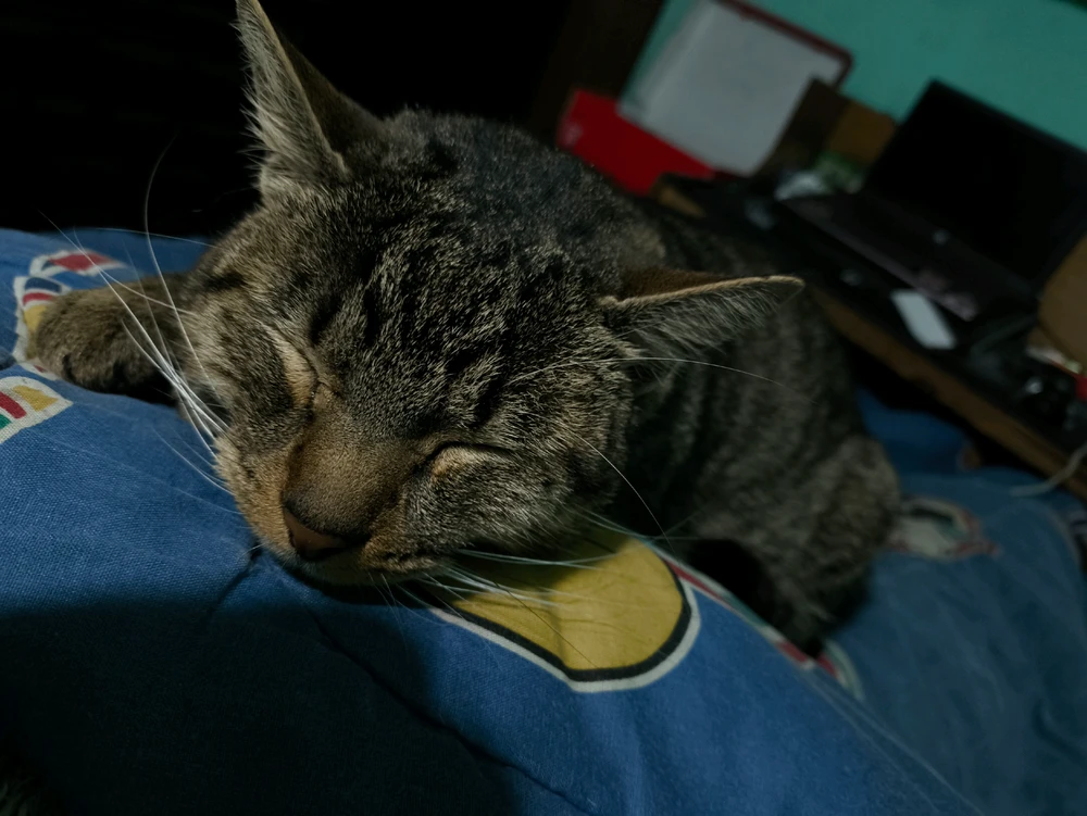 GIF subido por Jairo Sebastián Pérez Cepeda