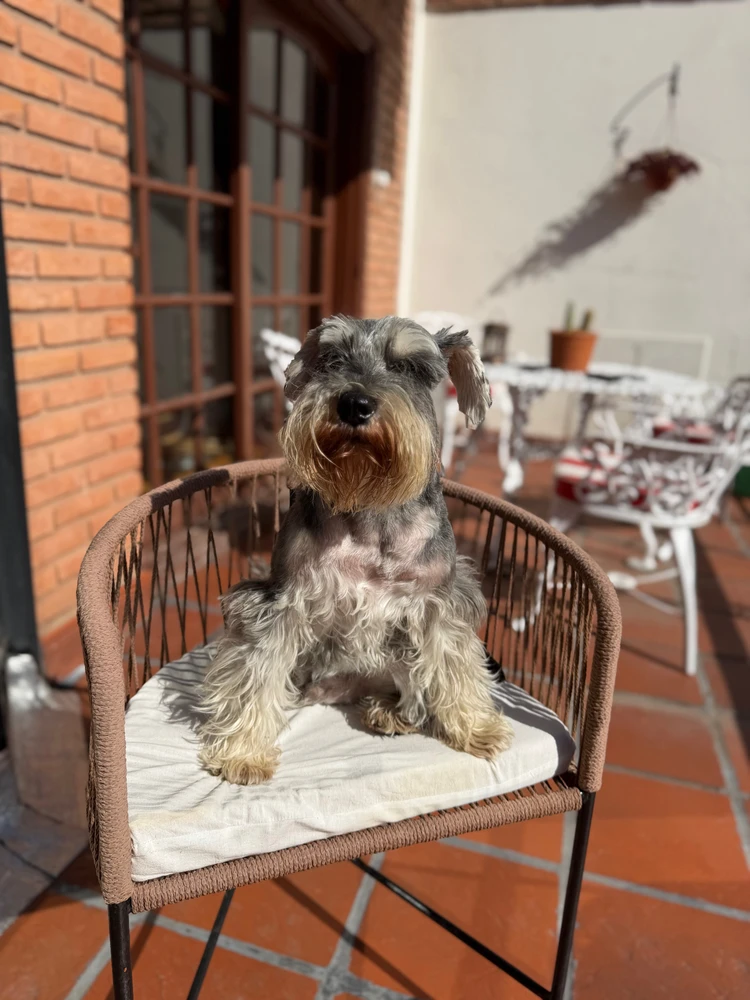 GIF uploaded by Naty