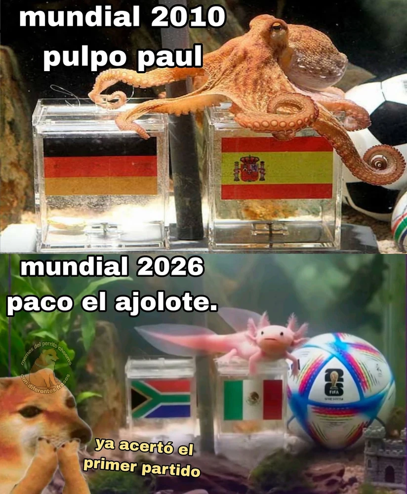 GIF subido por Francisco Iturralde