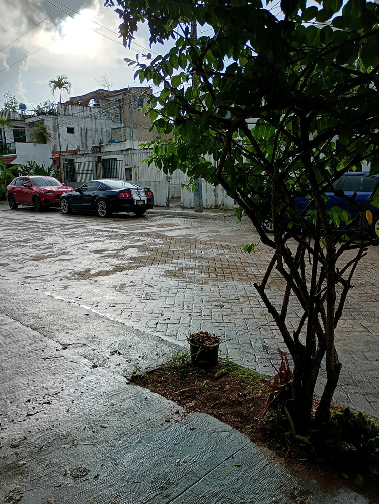 Imagen subida por Emmanems