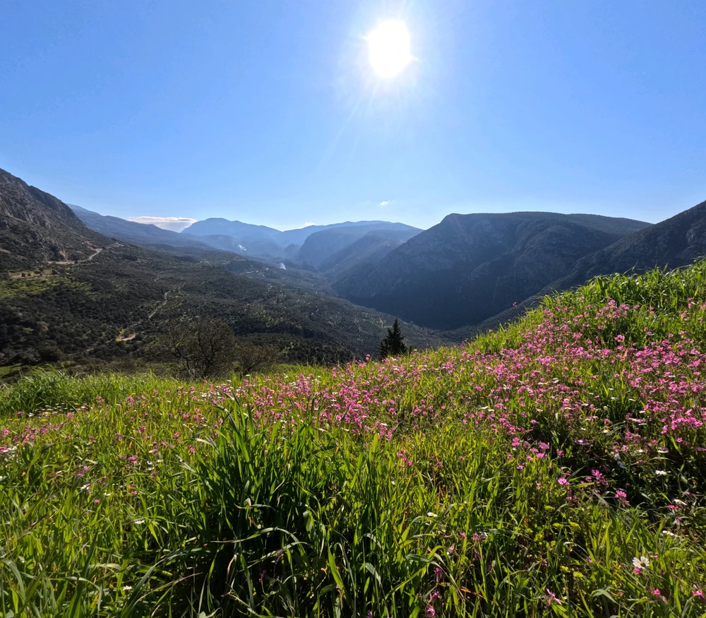GIF uploaded by Christos
