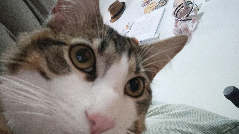 GIF subido por Mayra