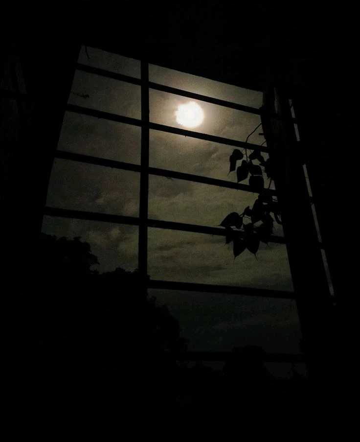 GIF uploaded by Zoyee