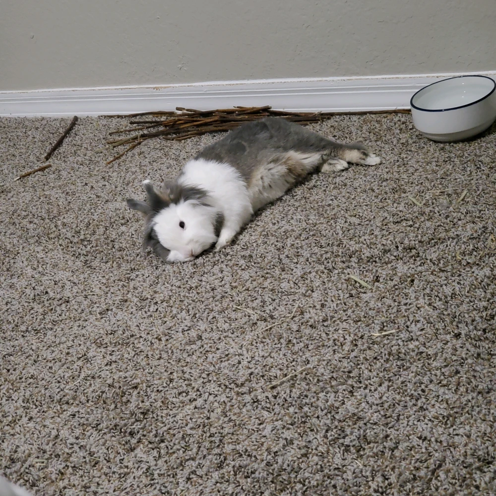 GIF uploaded by Rae
