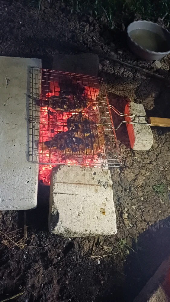 Gambar diunggah oleh Burung Hantu