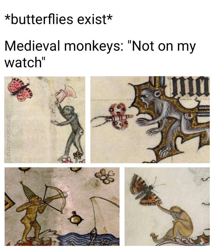 GIF uploaded by ℳ𝒾𝒹𝓃𝒾𝑔𝒽𝓉