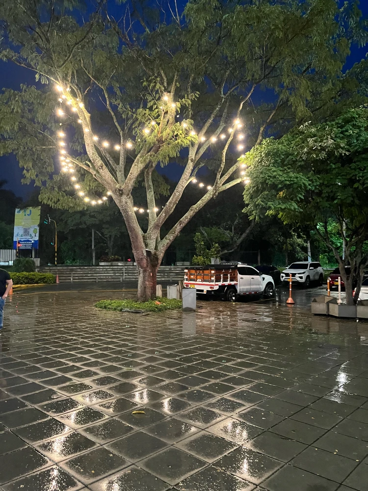 GIF uploaded by Thony