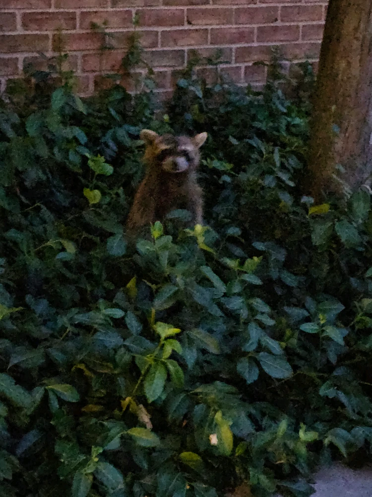 GIF uploaded by Kaidince