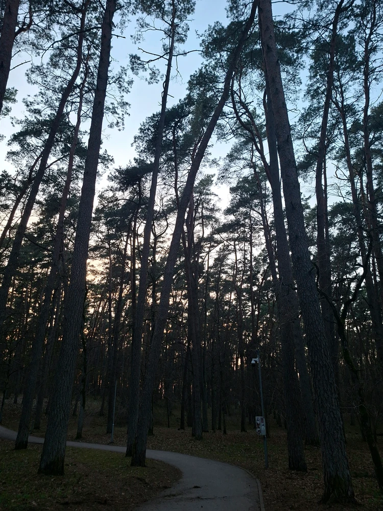 Image uploaded by Eliana