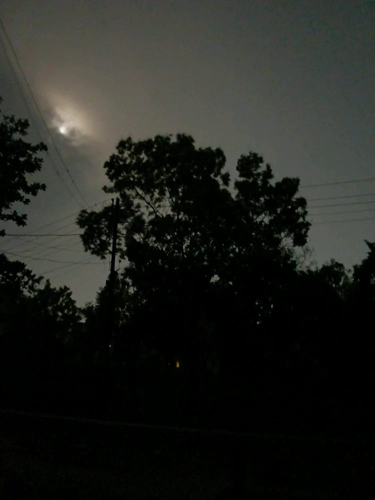 GIF uploaded by Moon