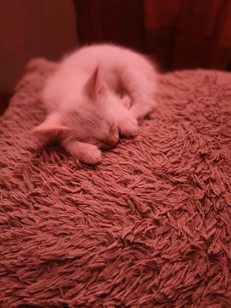 GIF subido por Adriana