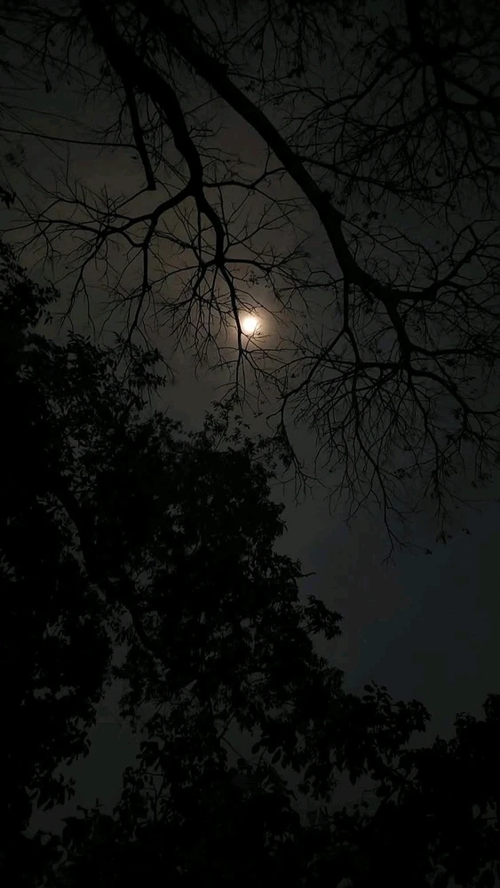 GIF uploaded by Taranjeet Kaur