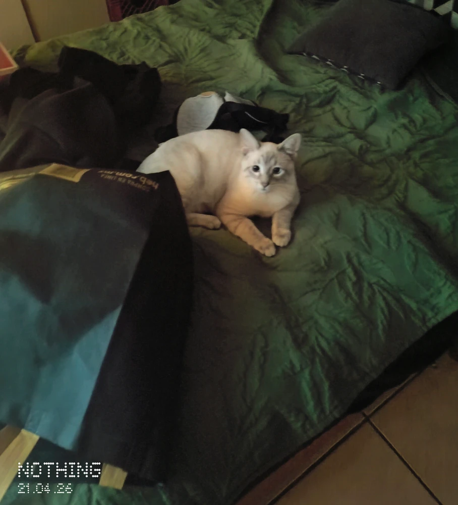 GIF subido por Darío