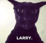 GIF subido por Vijay