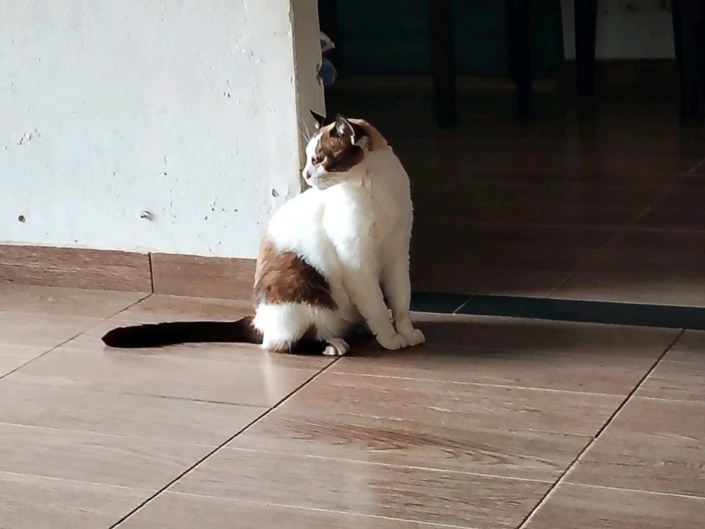 GIF subido por Cristian Sneyder Cardenas