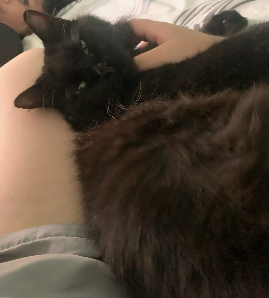 GIF subido por Lilith