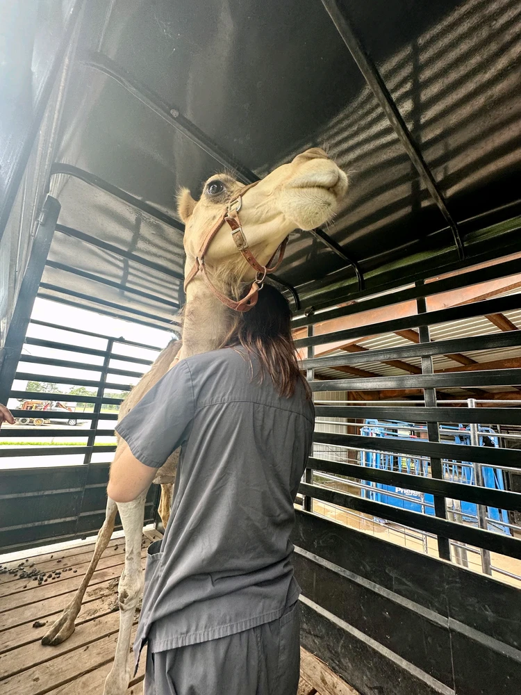GIF uploaded by Clayton