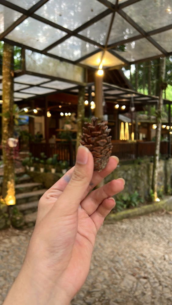Image uploaded by Winnie ₍^ ^₎⟆