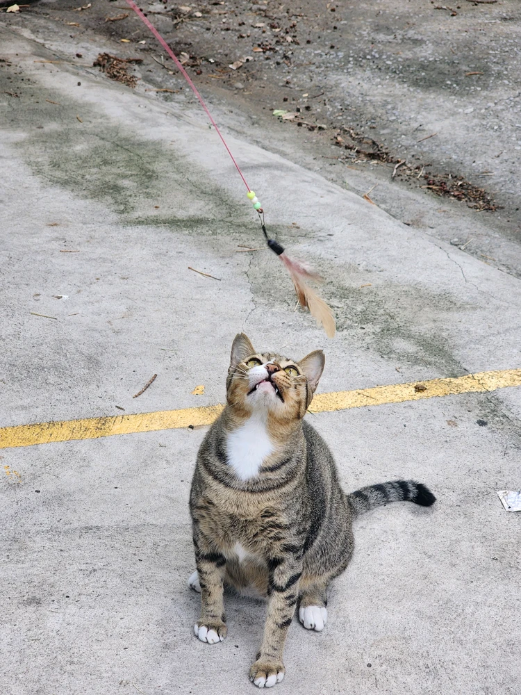 รูปที่อัพโหลดโดย en