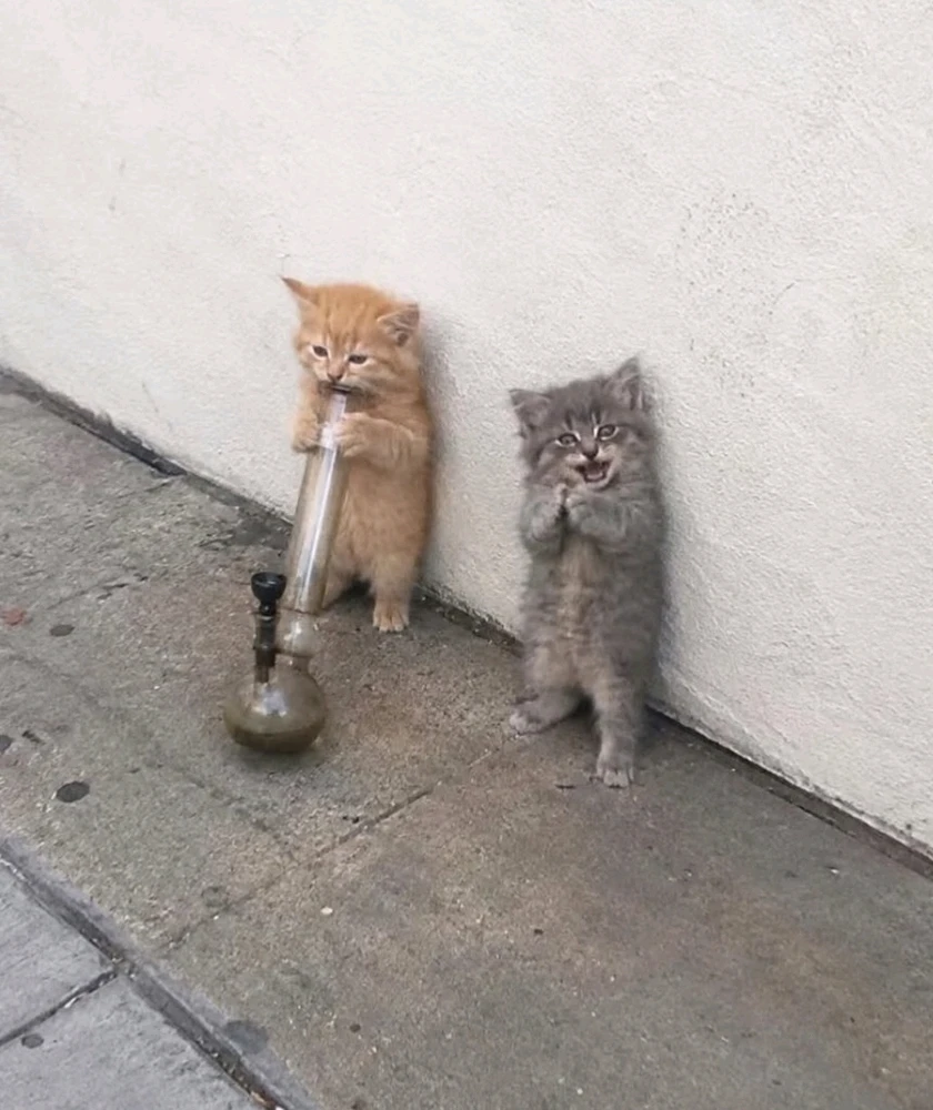 GIF uploaded by Dana