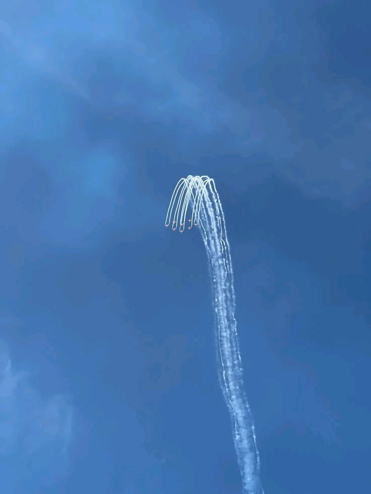 GIF uploaded by Zoyee