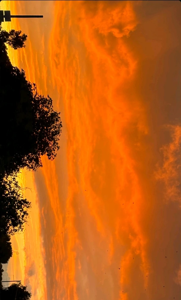 GIF uploaded by Anakin