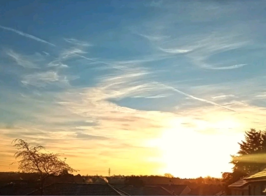 GIF uploaded by Saff