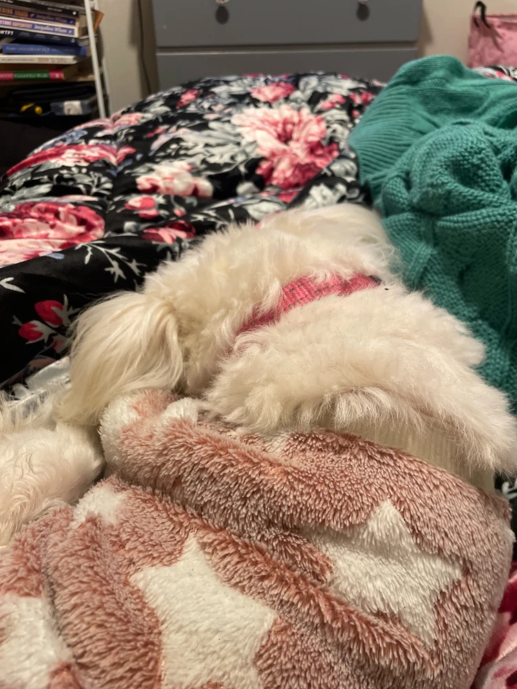 GIF uploaded by Hope