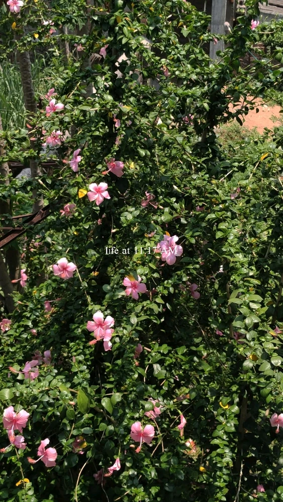 GIF uploaded by Thakur Aryan Singh