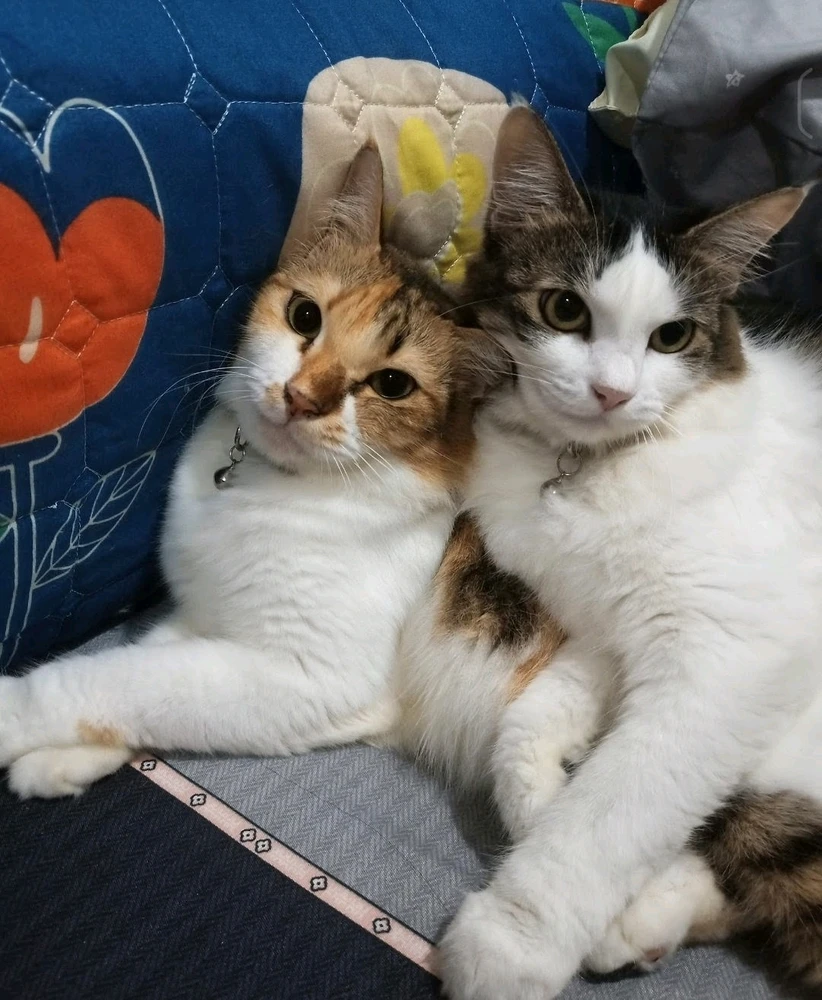 GIF uploaded by Mya