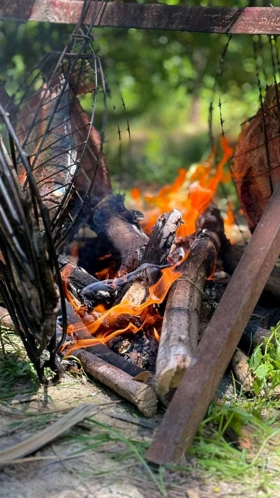 Reem님이 올린 사진