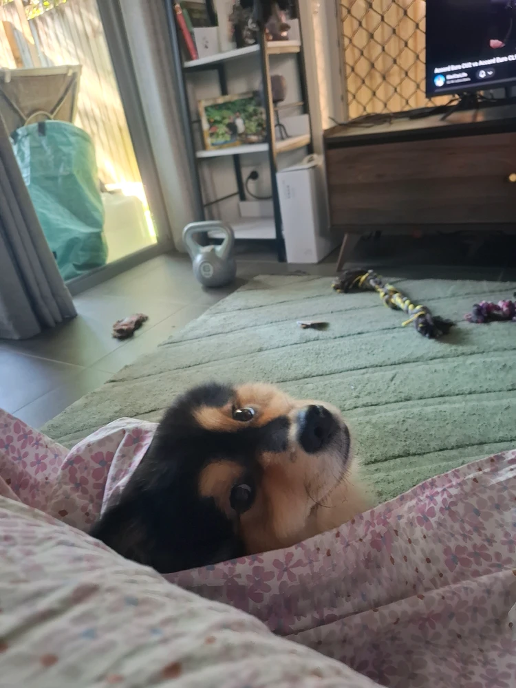 GIF uploaded by Richie