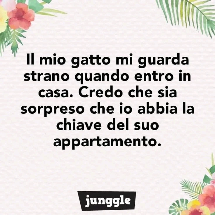 GIF caricata da Simone