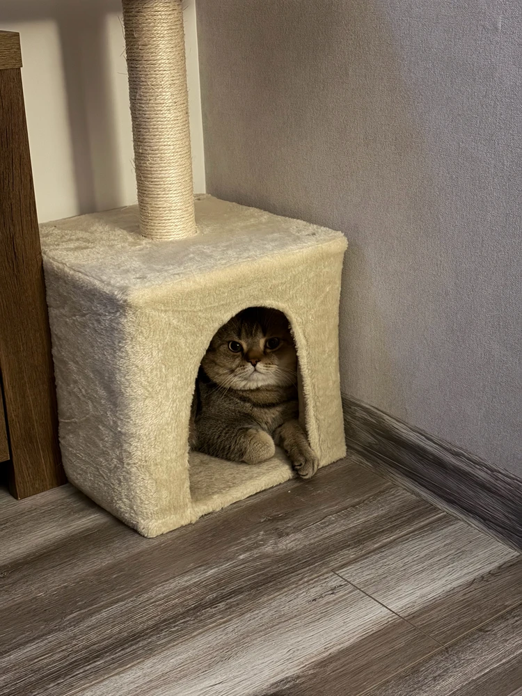 GIF încărcat de Petru