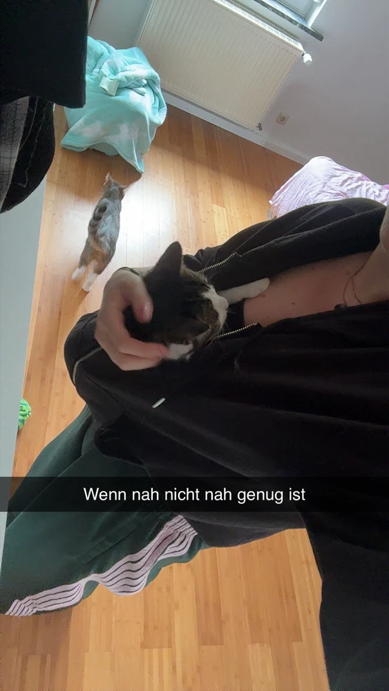 GIF hochgeladen von Meghann