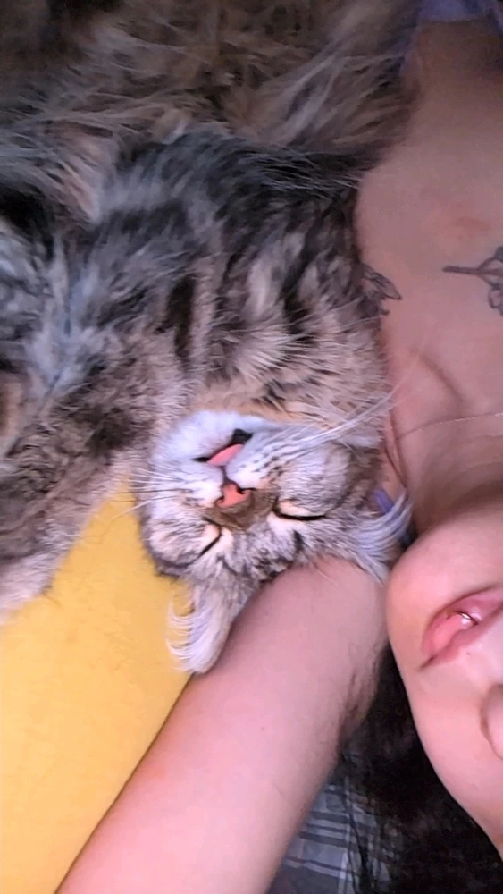 GIF hochgeladen von Mina