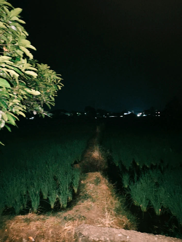 GIF uploaded by Riris