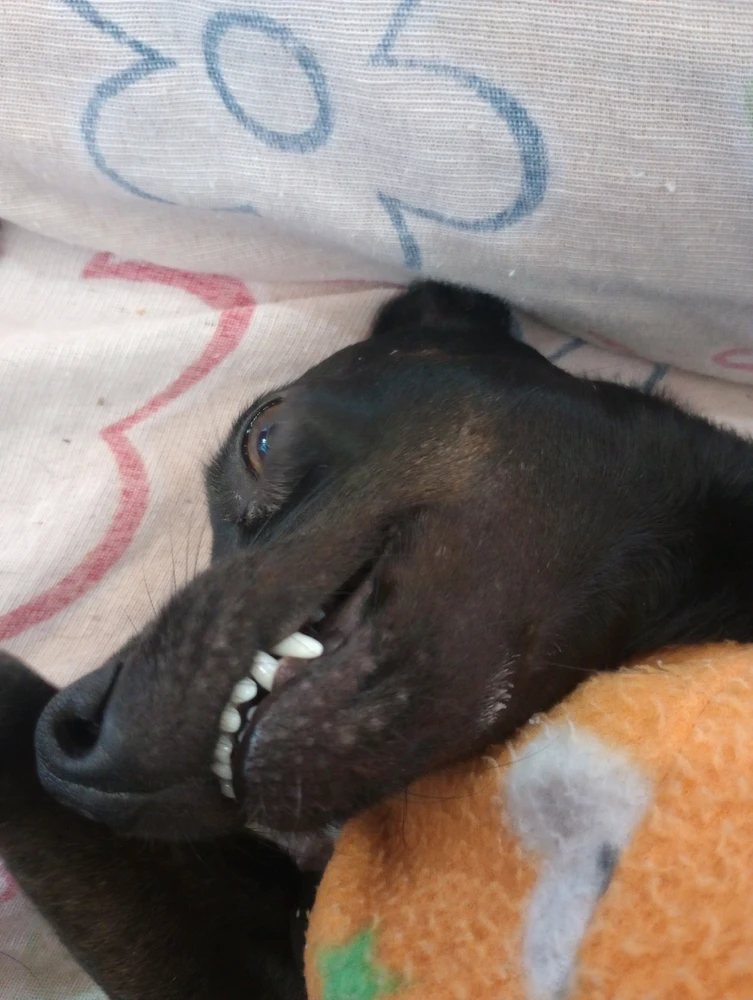 Imagem enviada por Alex