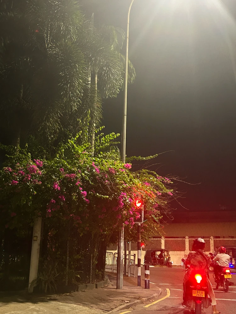 GIF uploaded by Txx