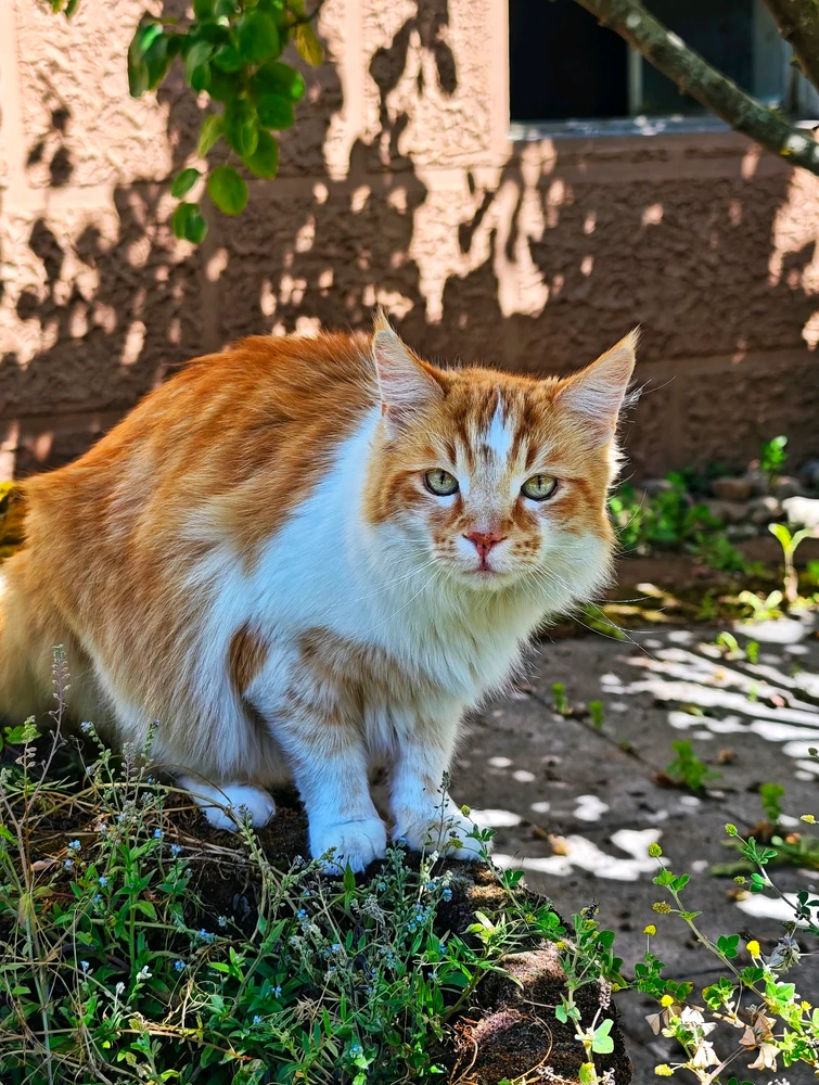 Фото загрузил Boriss