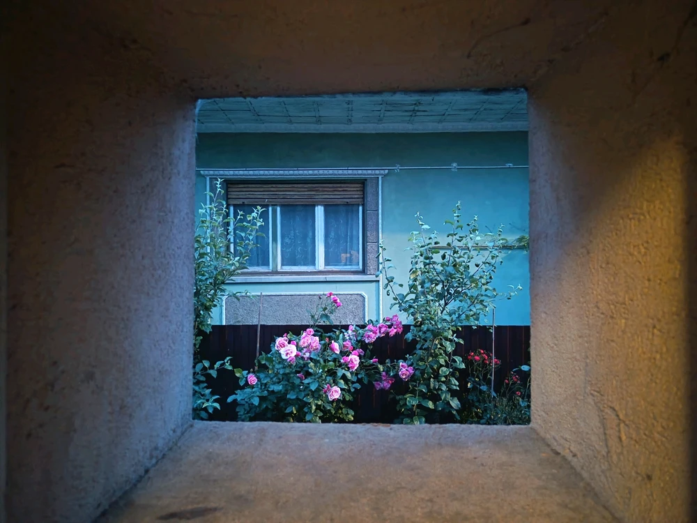 GIF uploaded by R von K