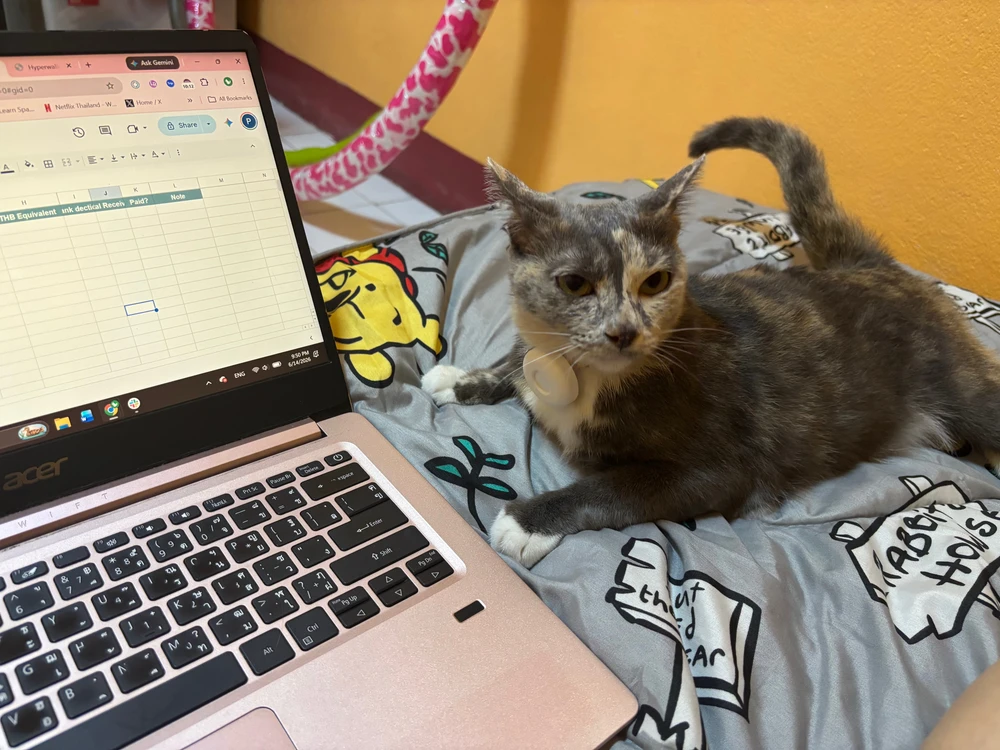 GIF uploaded by Pat♡