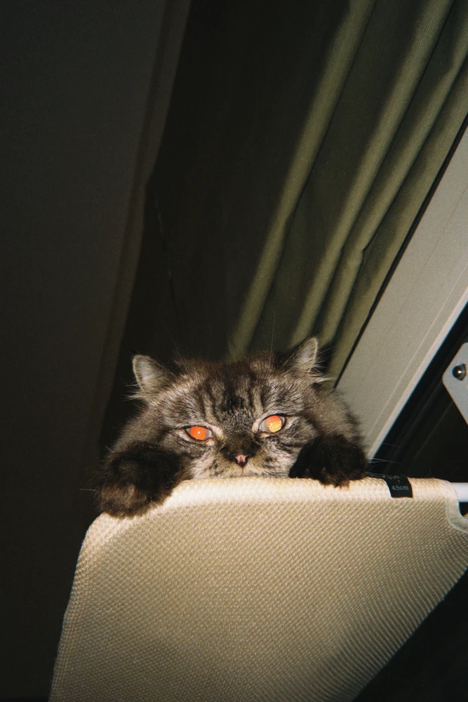 GIF uploaded by Bea