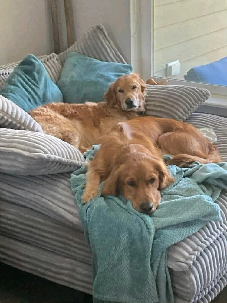 GIF uploaded by Anna